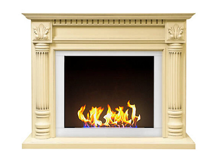 Биокамин классический Фостер со стемалитом