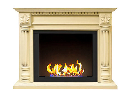 Биокамин классический Фостер со стемалитом