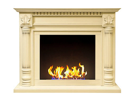 Биокамин классический Фостер со стемалитом