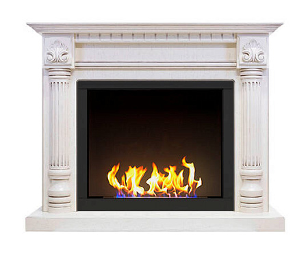 Биокамин классический Фостер со стемалитом