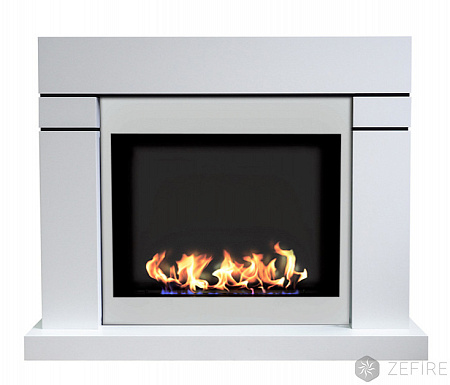 Биокамин Актон (ZeFire)